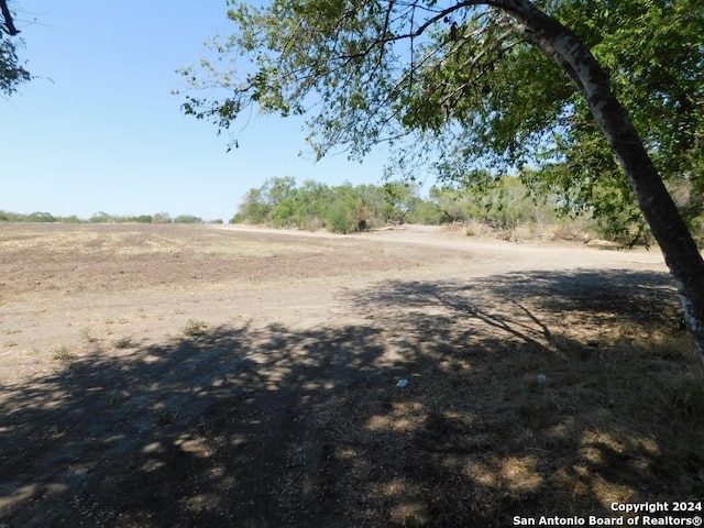 Listing photo 3 for TBD Highway 132, Natalia TX 78059