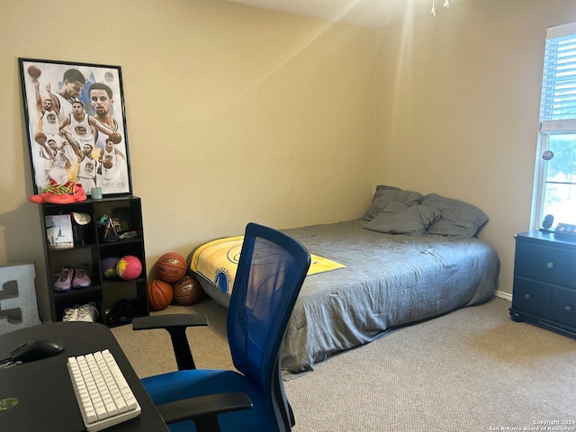 bedroom with multiple windows and carpet floors