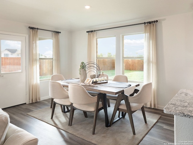 dining space featuring dark wood-type flooring and a wealth of natural light