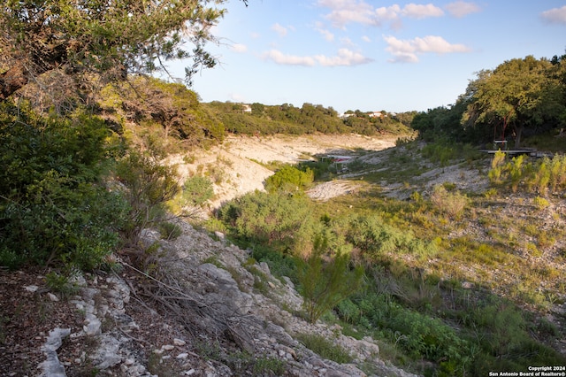 view of nature