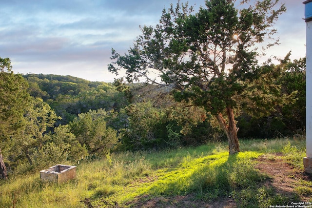 282 Hill Top, Lakehills, TX 78063 - view of tree filled area