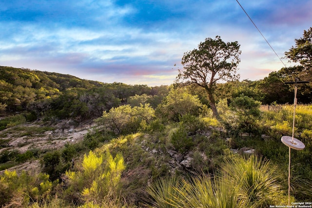 view of nature at dusk