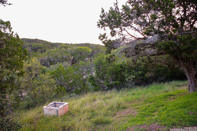 view of mountain feature