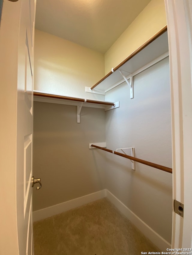 walk in closet with carpet flooring