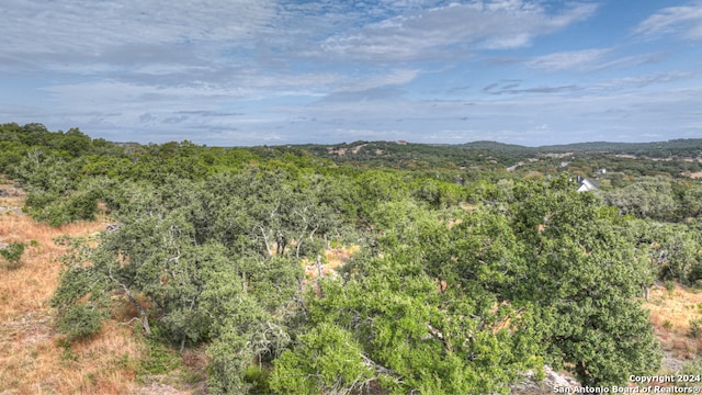 Listing photo 3 for 826 Brand Rd, Bulverde TX 78163