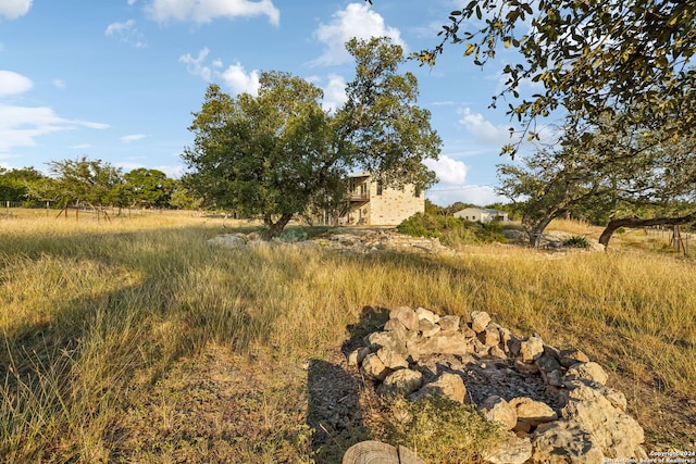 view of local wilderness