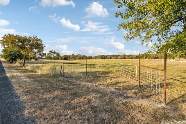 view of yard featuring a rural view