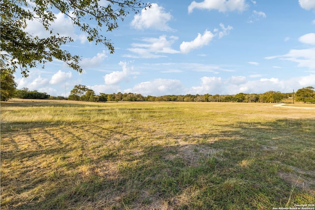 view of local wilderness with a rural view