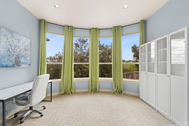 office area featuring light colored carpet and plenty of natural light