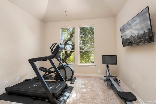 workout area featuring a healthy amount of sunlight, carpet, and lofted ceiling