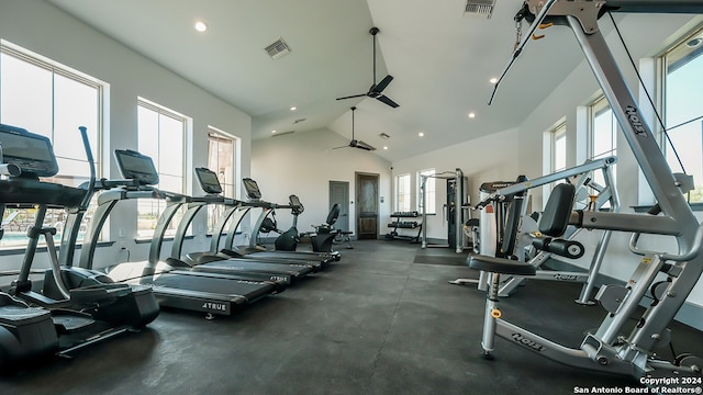 workout area featuring ceiling fan, high vaulted ceiling, and a wealth of natural light