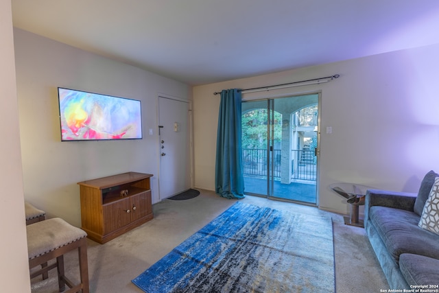 8702 Village Dr Unit 507, San Antonio, TX 78217 - living area featuring carpet
