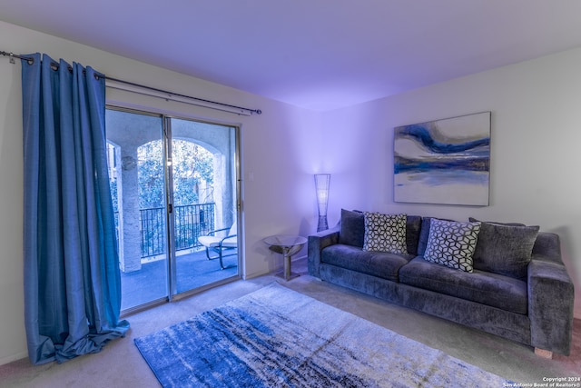 living room with carpet floors