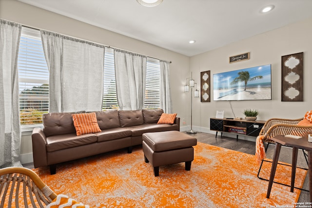 living room with hardwood / wood-style flooring