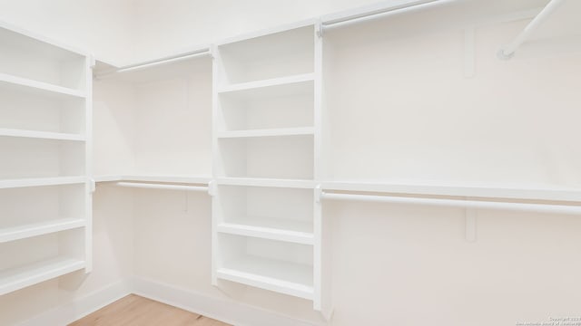 walk in closet featuring light hardwood / wood-style floors