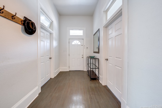 doorway featuring dark wood-type flooring