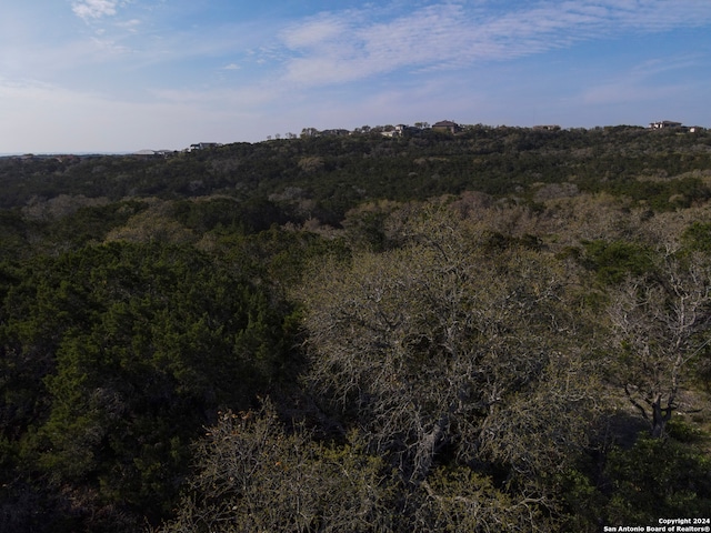 Listing photo 2 for 82 County Road 273, Mico TX 78056