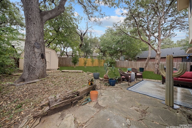 view of yard featuring a patio and a storage unit