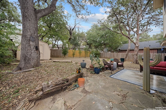 view of yard featuring a patio and a storage unit