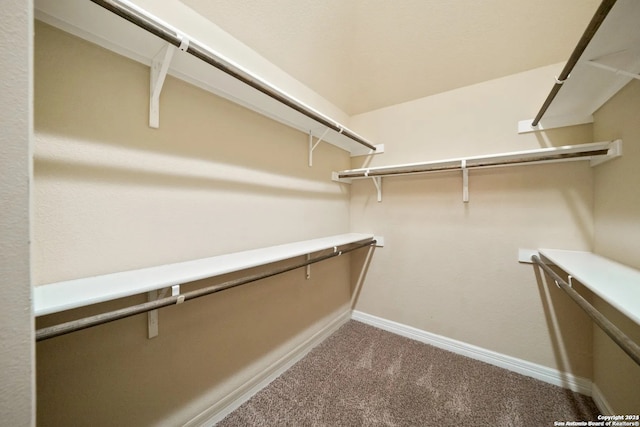 spacious closet with carpet