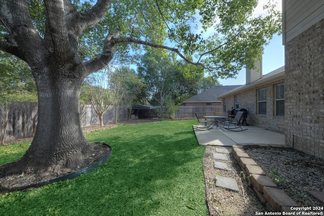 view of yard featuring a patio