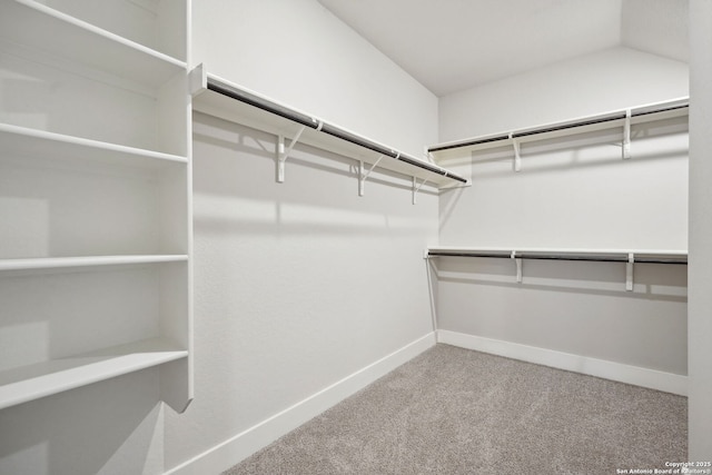 1327 Larkspur Pass, San Antonio, TX 78245 - walk in closet featuring carpet floors