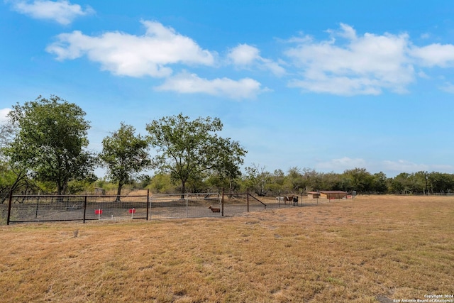 view of yard with a rural view