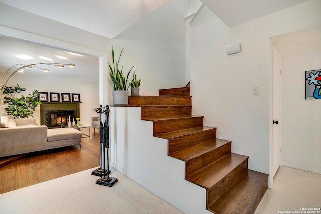 stairway featuring wood-type flooring