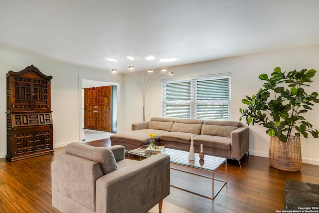 living room with dark hardwood / wood-style flooring