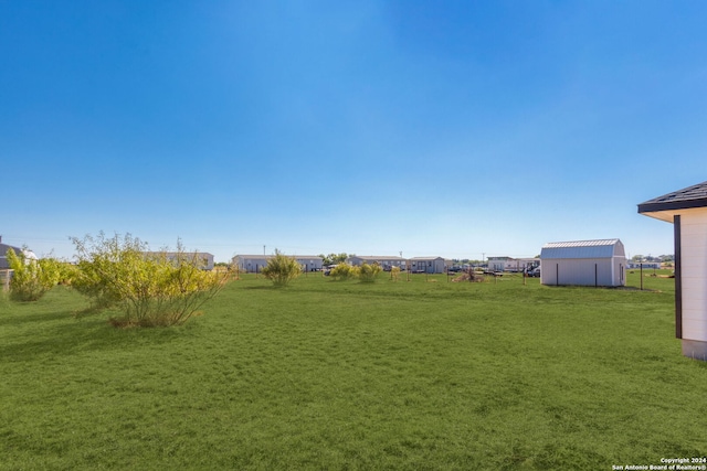 view of yard featuring a shed