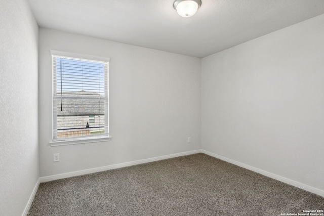 empty room featuring carpet