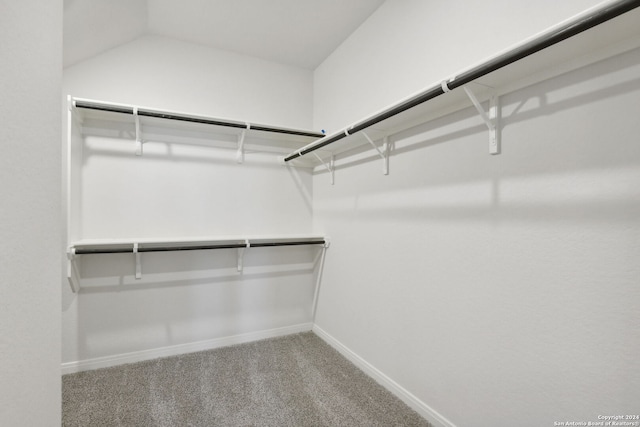 walk in closet with carpet