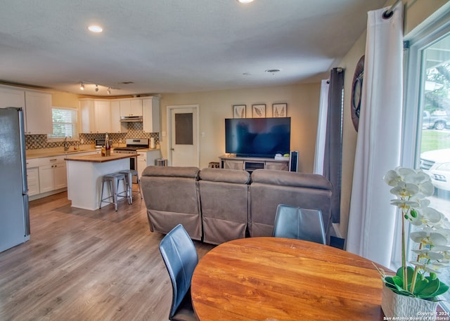 living room with light hardwood / wood-style flooring and plenty of natural light