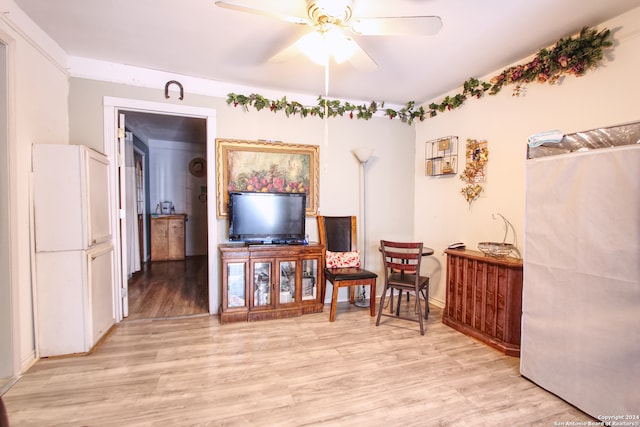 living area featuring ceiling fan and light hardwood / wood-style flooring