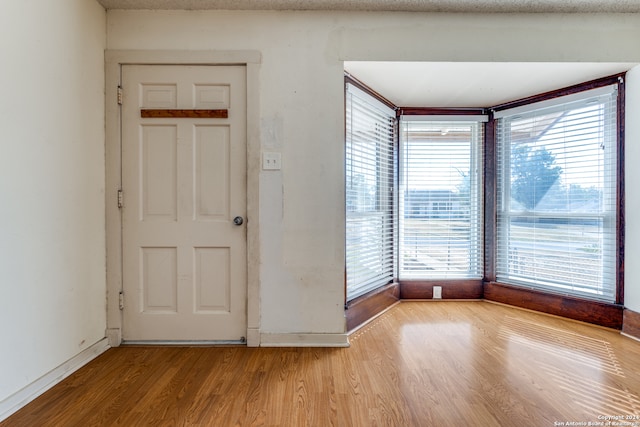 foyer entrance with wood-type flooring and plenty of natural light