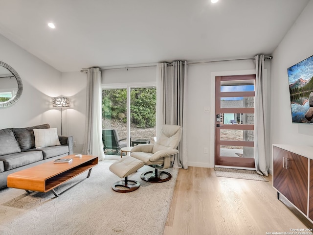 living room with light wood-type flooring