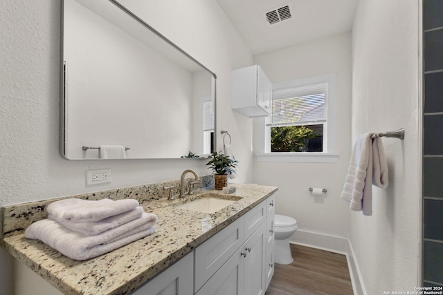 bathroom featuring vanity, hardwood / wood-style flooring, and toilet