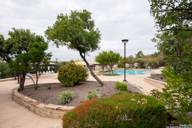 view of community featuring a patio area and a swimming pool