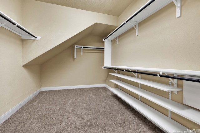 walk in closet with carpet floors