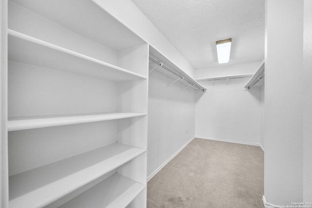 spacious closet featuring light colored carpet