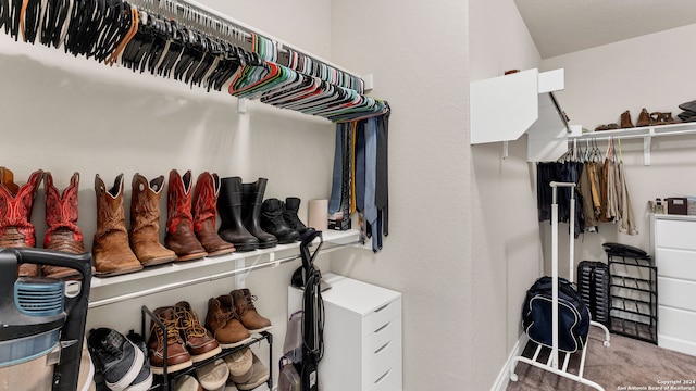 walk in closet featuring light colored carpet