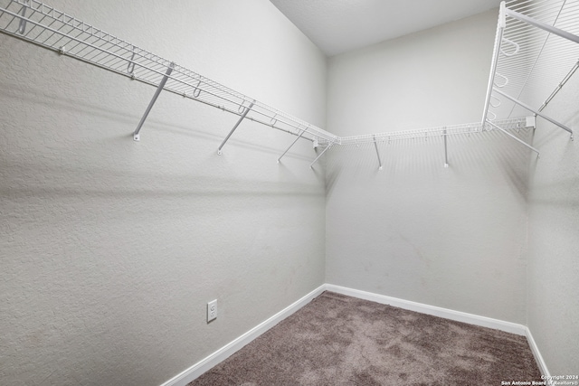 walk in closet with carpet