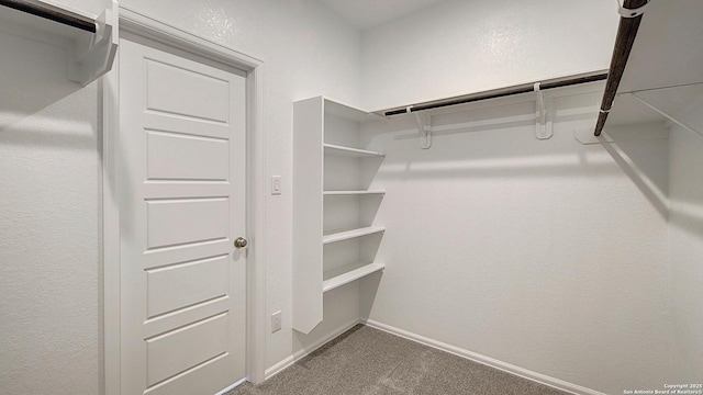 spacious closet with carpet