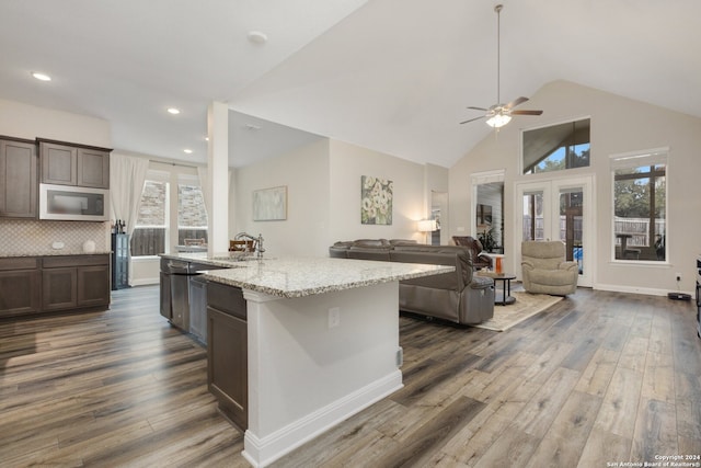 kitchen with tasteful backsplash, a wealth of natural light, and dark hardwood / wood-style floors