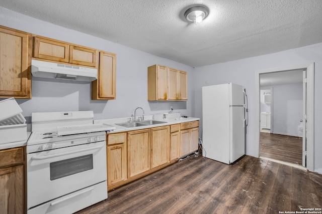 kitchen featuring sink, a textured ceiling, white appliances, and dark hardwood / wood-style flooring