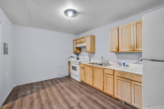 kitchen featuring sink, a textured ceiling, dark hardwood / wood-style floors, and white appliances