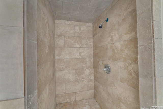 811 General Mcmullen Dr, San Antonio, TX 78237 - interior details featuring a tile shower