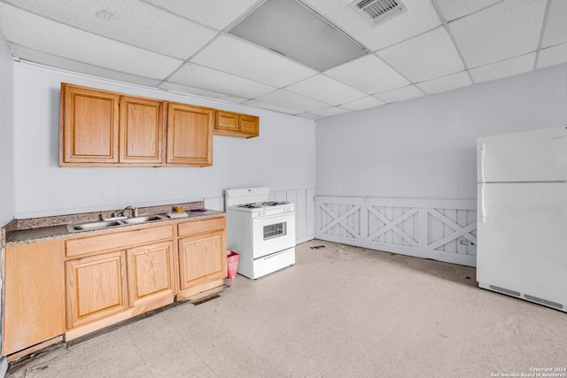 kitchen with sink, a drop ceiling, and white appliances