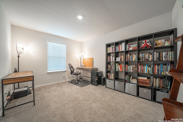 office with carpet and a textured ceiling