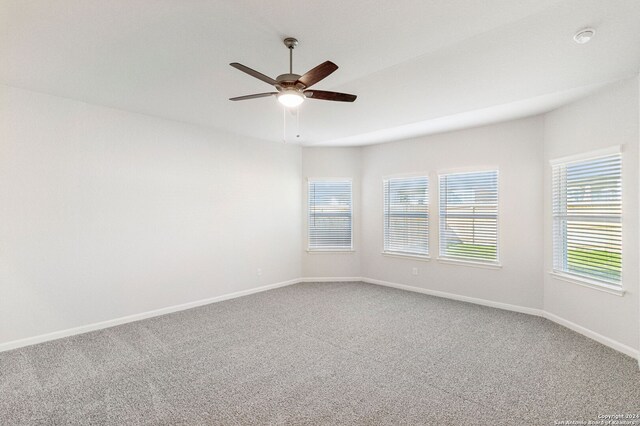 spare room with carpet and ceiling fan